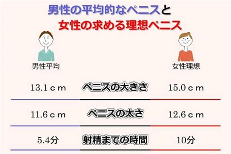 ちんこの大きさ・サイズの平均値｜ペニス勃起時の太さや長さ（ 